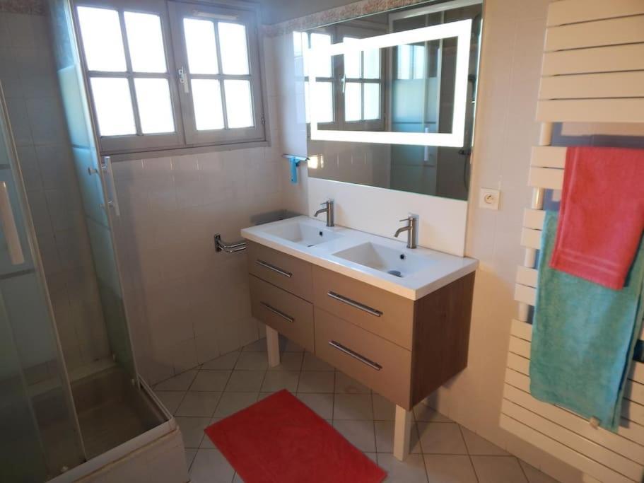St Malo Maison Avec Jardin Proche Gare Plage Intramuros Chien Admis Parking Gratuit Сен Мало Екстериор снимка