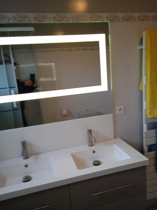St Malo Maison Avec Jardin Proche Gare Plage Intramuros Chien Admis Parking Gratuit Сен Мало Екстериор снимка